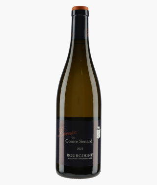 Bourgogne Lorraine by Comte Senard