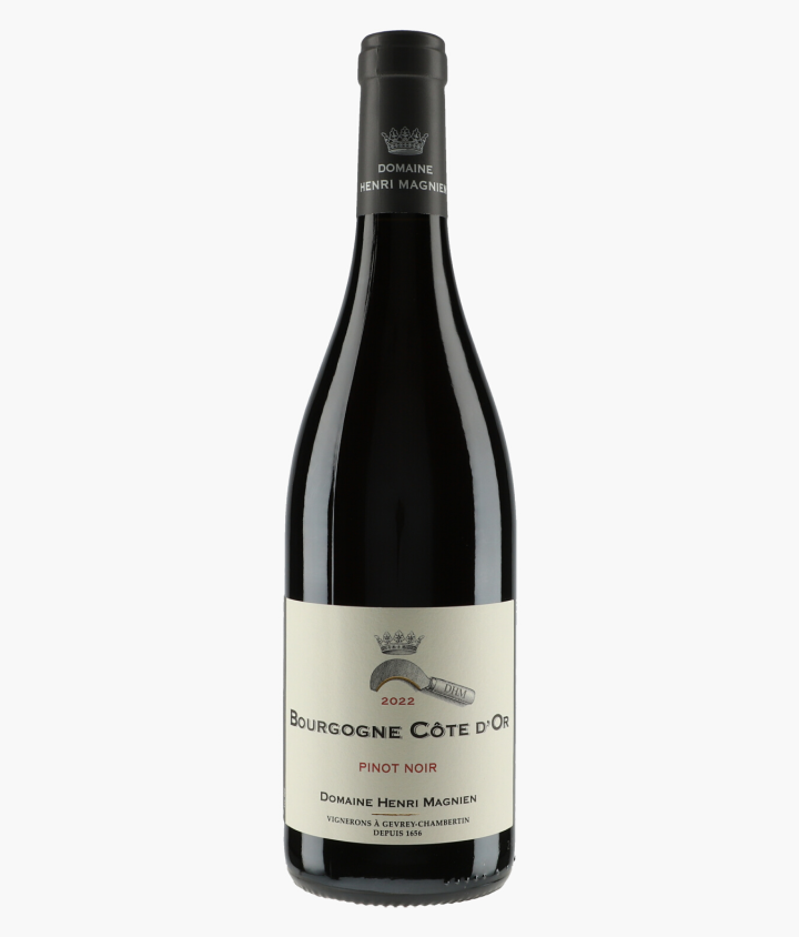 MAGNIEN HENRI | Bourgogne Côte d'Or 2022