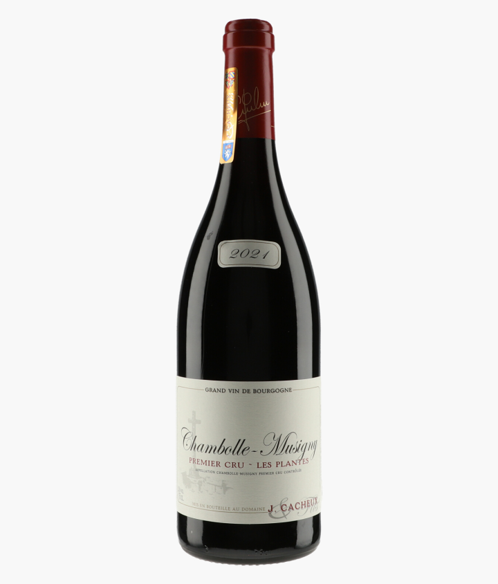CACHEUX JACQUES | Chambolle-Musigny 1er Cru Les Plantes 2021