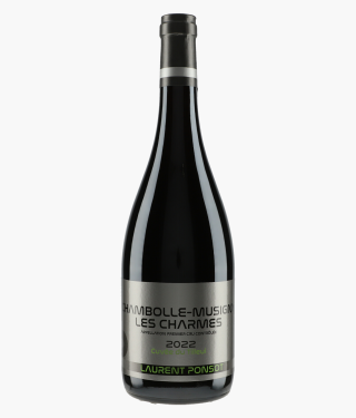 PONSOT LAURENT | Chambolle-Musingy 1er Cru Les Charmes Cuvée du Tilleul 2022