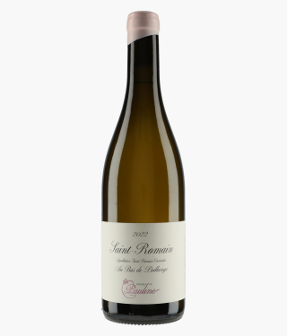 TRUCHETET MORGAN | Saint-Romain Au Bas de Poillange Vignoble de Pauline 2022