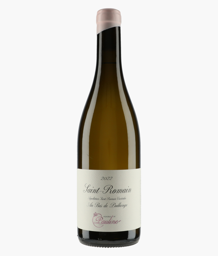 Saint-Romain Au Bas de Poillange Vignoble de Pauline