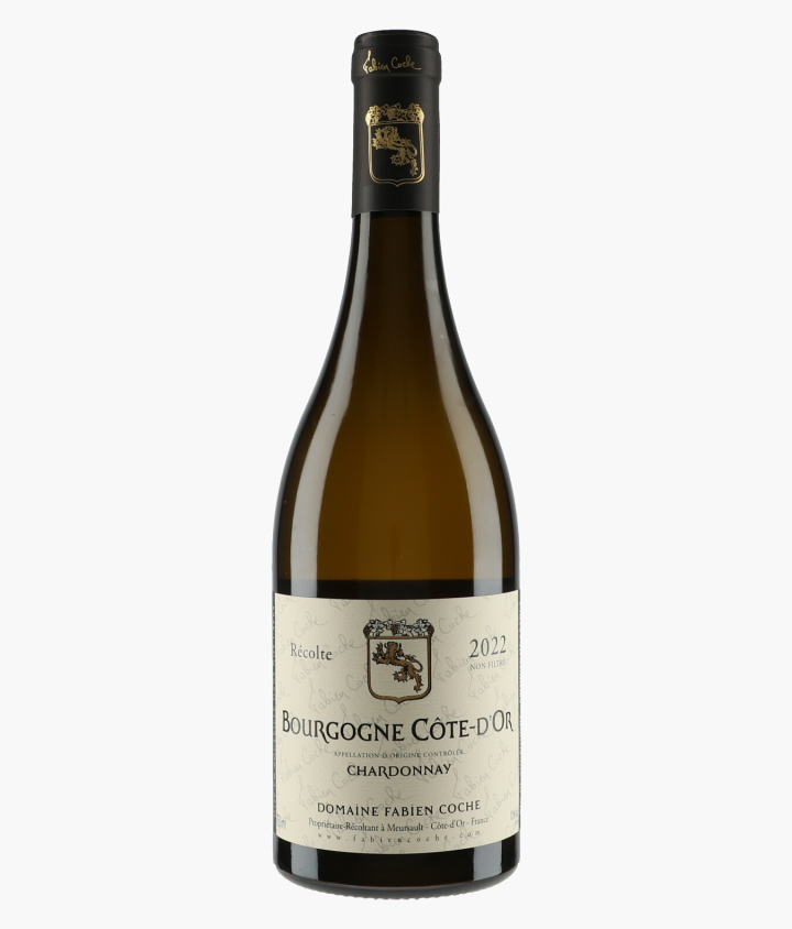 COCHE FABIEN | Bourgogne Côte d'Or Chardonnay 2022