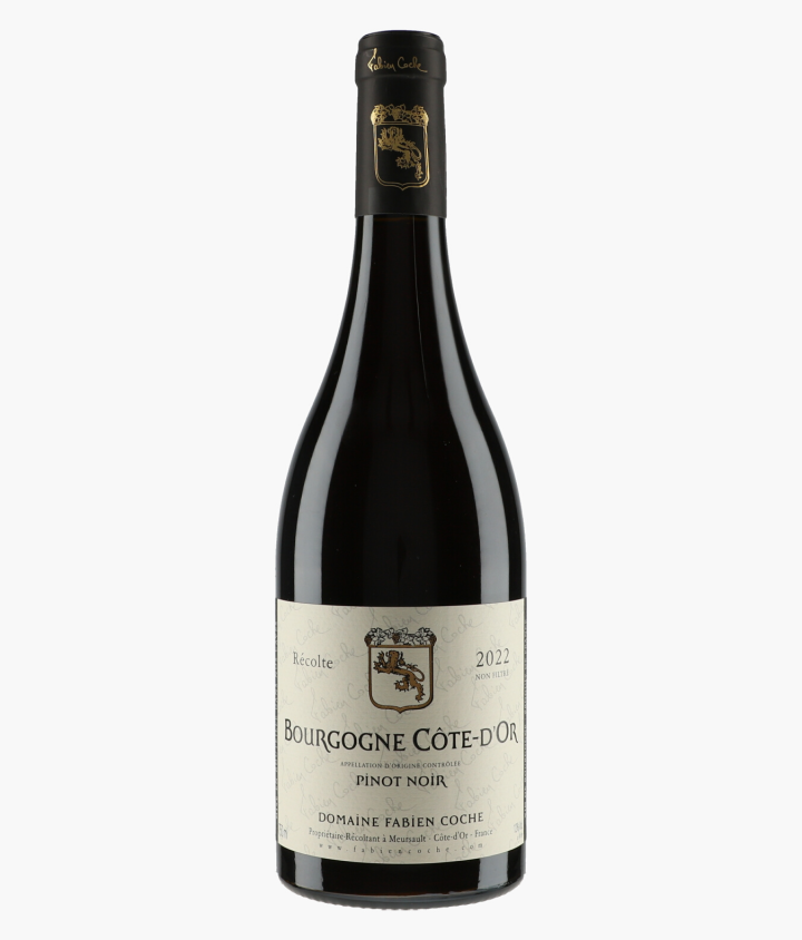 COCHE FABIEN | Bourgogne Côte d'Or Pinot Noir 2022