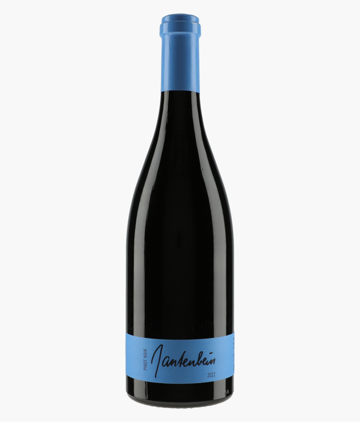 GANTENBEIN | Pinot Noir 2022