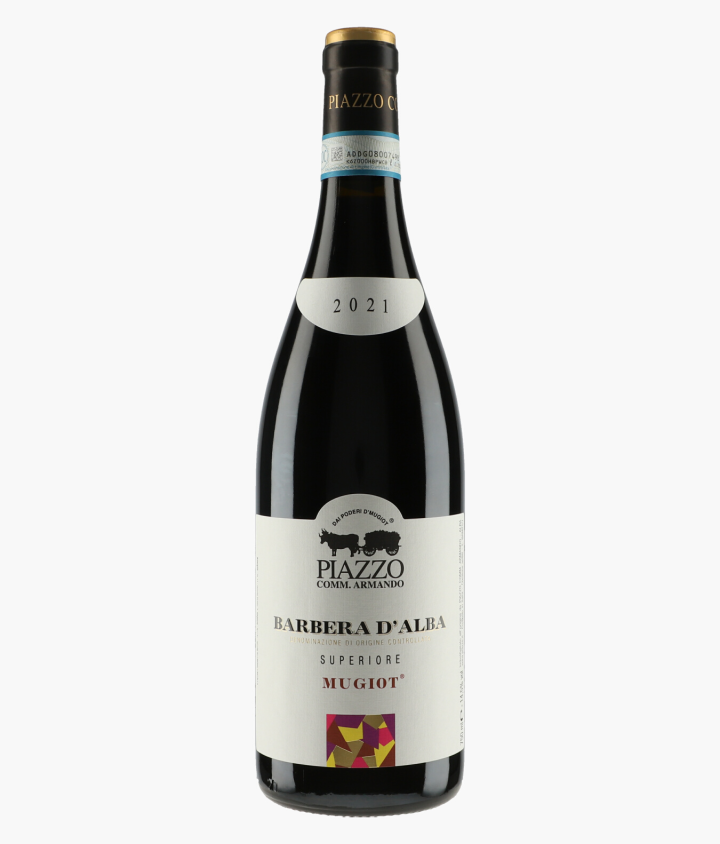 PIAZZO | Barbera D'Alba Mugiot 2021