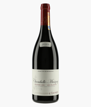 CACHEUX JACQUES | Chambolle-Musigny 1er Cru Les Plantes 2022