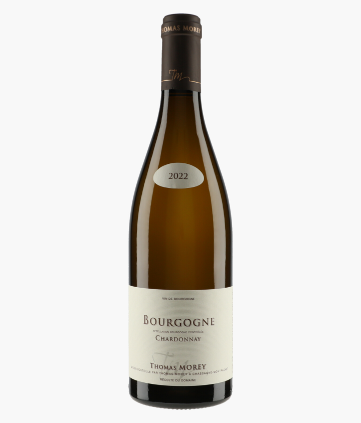 MOREY THOMAS | Bourgogne Chardonnay 2022
