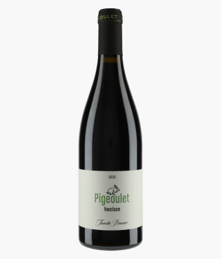 VDP du Vaucluse Pigeoulet