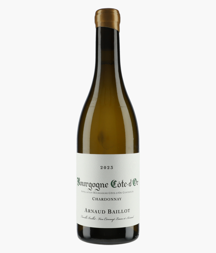 BAILLOT ARNAUD | Bourgogne Côte d'Or Chardonnay 2023