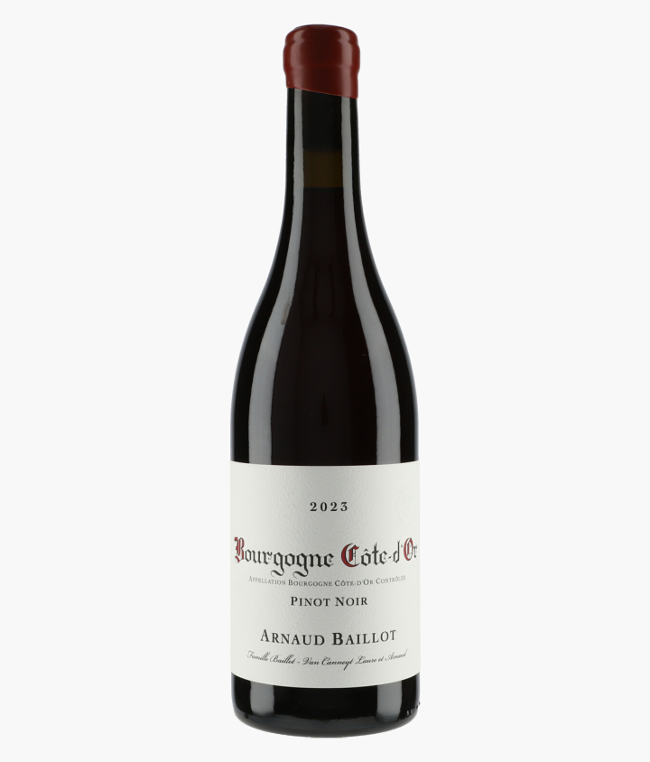 BAILLOT ARNAUD | Bourgogne Côte d'Or Pinot Noir 2023