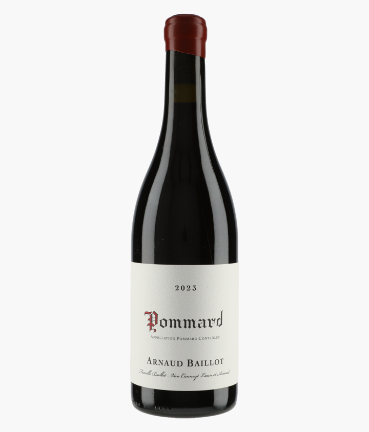 BAILLOT ARNAUD | Pommard 2023