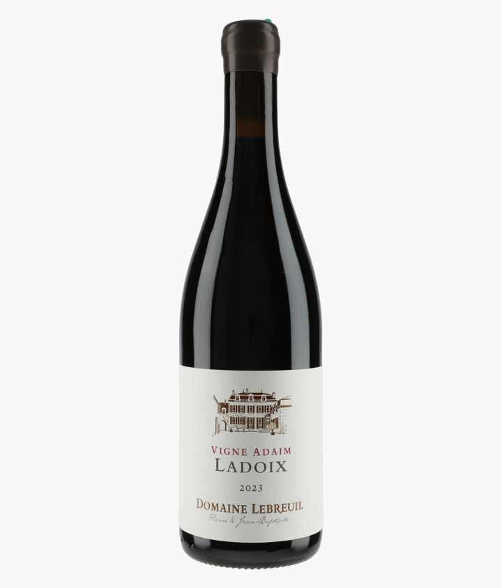 LEBREUIL PIERRE & J-B | Ladoix Vigne Adaim 2023