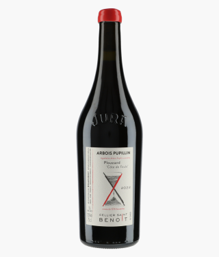 CELLIER SAINT BENOIT | Arbois Pupillin Ploussard Côte de Feule 2022
