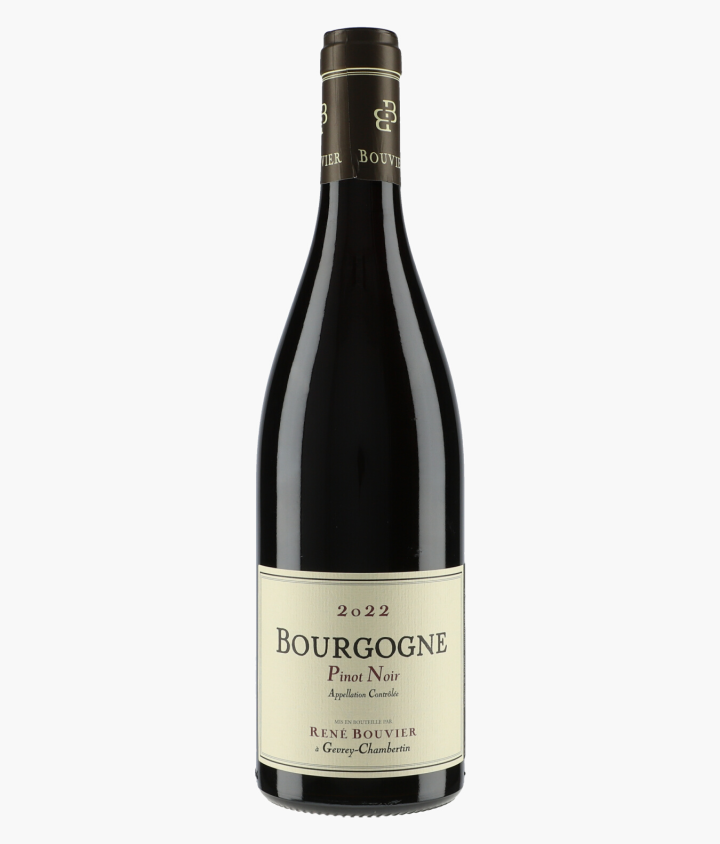 BOUVIER RENE | Bourgogne Pinot Noir 2022