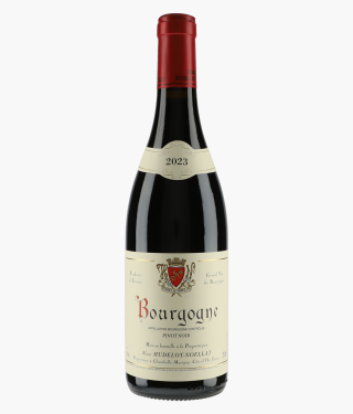 HUDELOT-NOELLAT | Bourgogne Pinot Noir 2023