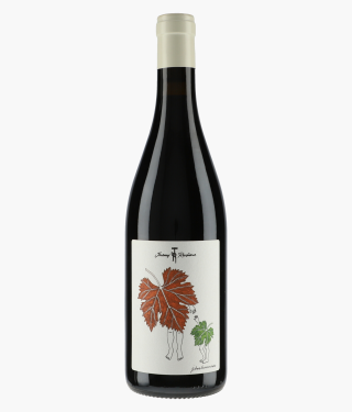 RECCHIONE JEREMY | Côteaux Bourguignons L'Ambroise 2023