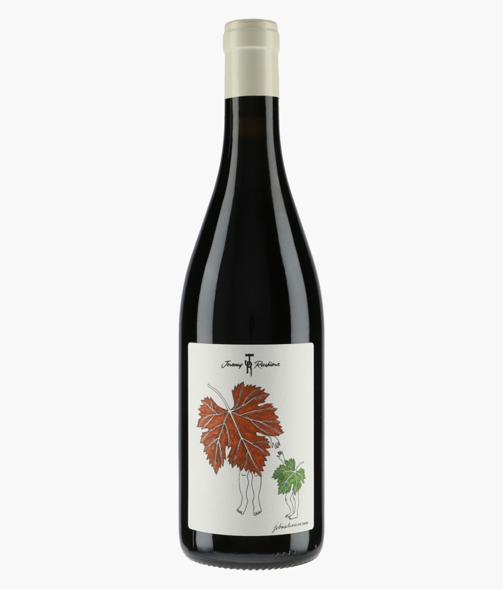 RECCHIONE JEREMY | Côteaux Bourguignons L'Ambroise 2023