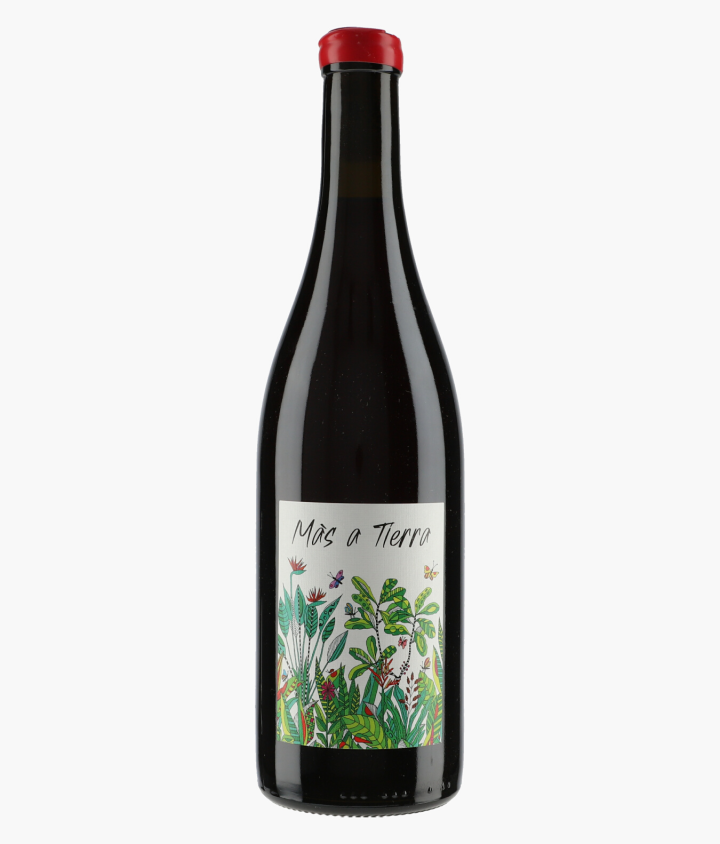 PETITE EMPREINTE | Côteaux Bourguignon Mas a Tierra 2023