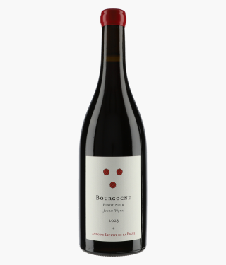 LA PIERRE RONDE - ANTOINE LEPETIT DE LA BIGNE | Bourgogne Pinot Noir Jeunes Vignes 2023
