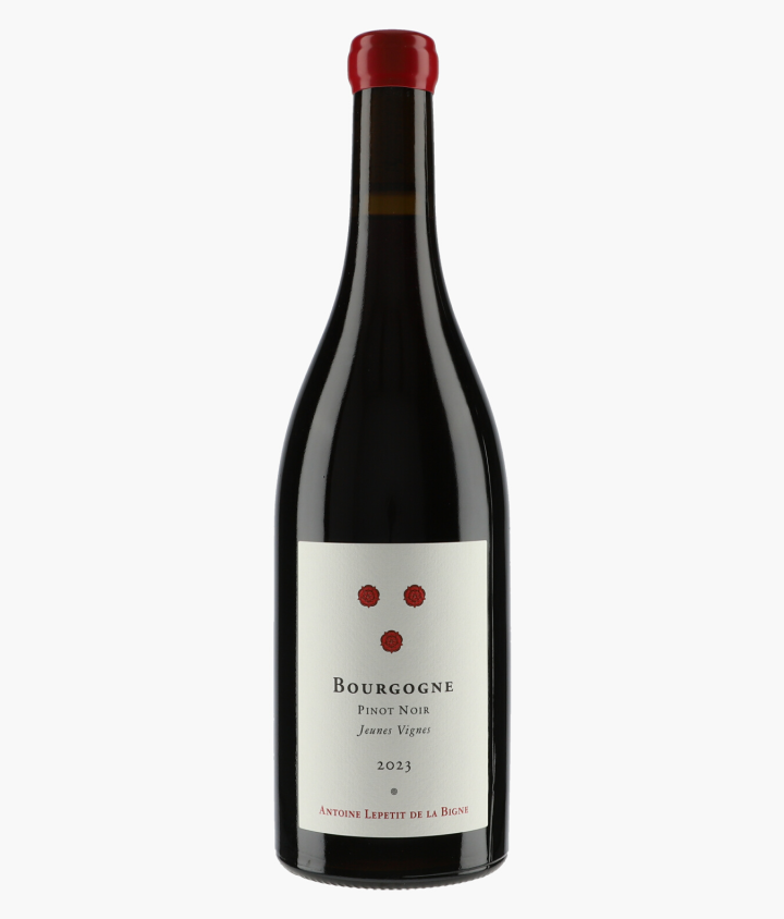 LA PIERRE RONDE - ANTOINE LEPETIT DE LA BIGNE | Bourgogne Pinot Noir Jeunes Vignes 2023