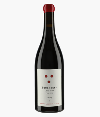 LA PIERRE RONDE - ANTOINE LEPETIT DE LA BIGNE | Bourgogne Côte d'Or Pinot Noir 2023