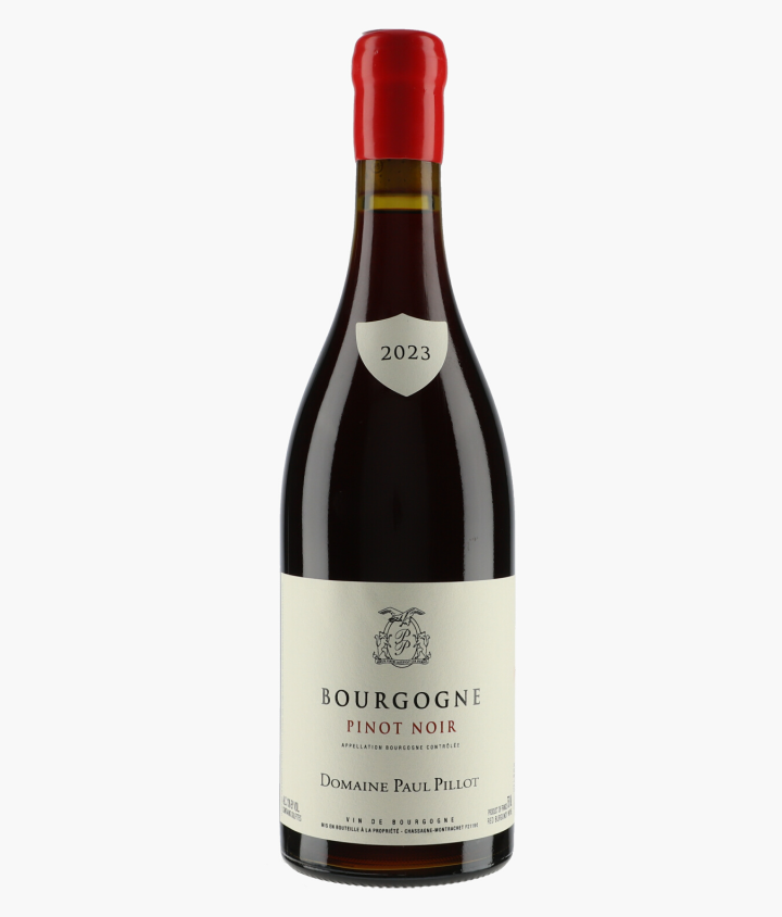 PILLOT PAUL | Bourgogne Pinot Noir 2023