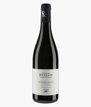 PILLOT ROMAIN ET SIMON | Bourgogne Pinot Noir La Pièce Carrée 2023
