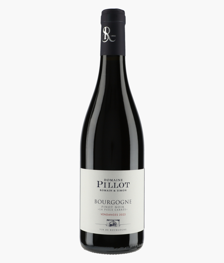 PILLOT ROMAIN ET SIMON | Bourgogne Pinot Noir La Pièce Carrée 2023