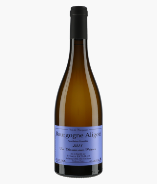 PATAILLE SYLVAIN | Bourgogne Aligoté La Charme aux Prêtres 2023