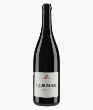 Bourgueil Cote 50