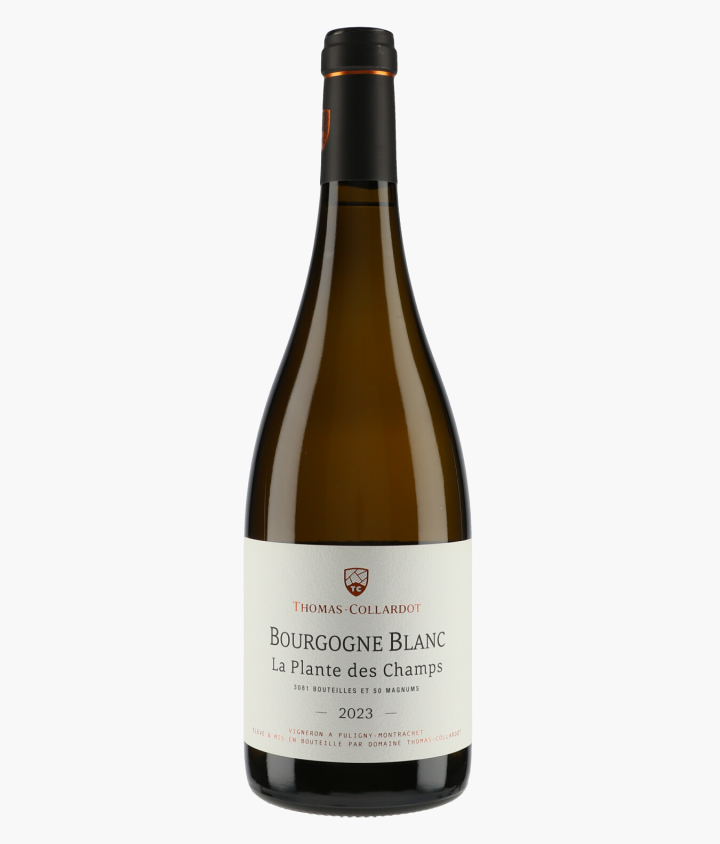 THOMAS-COLLARDOT | Bourgogne Blanc La Plante des Champs 2023