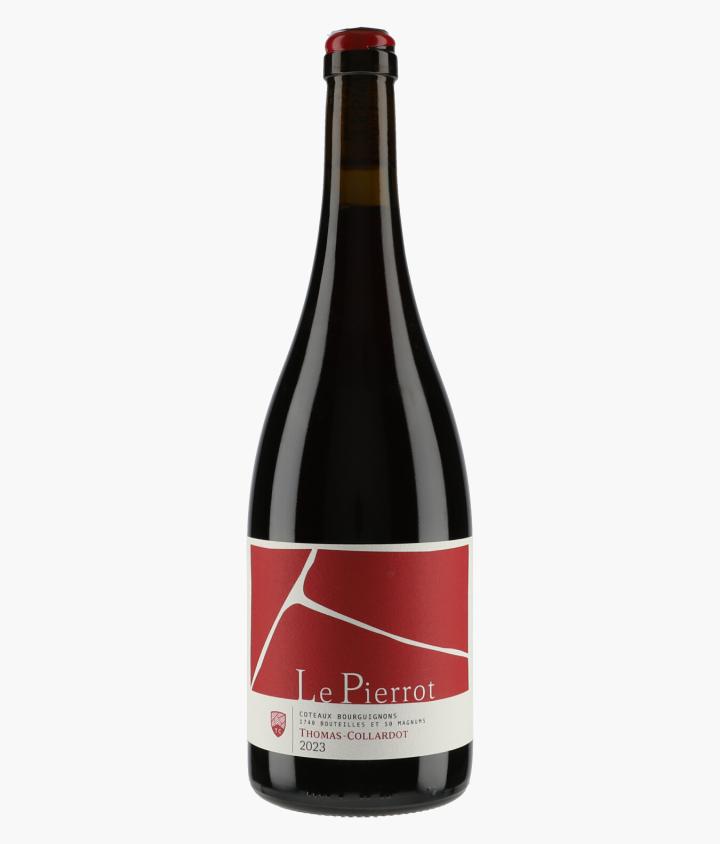 THOMAS-COLLARDOT | Côteaux Bourguignon Le Pierrot 2023