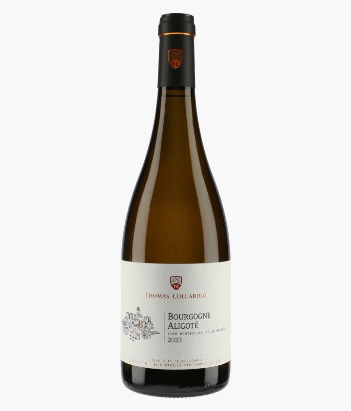 THOMAS-COLLARDOT | Bourgogne Aligoté 2023