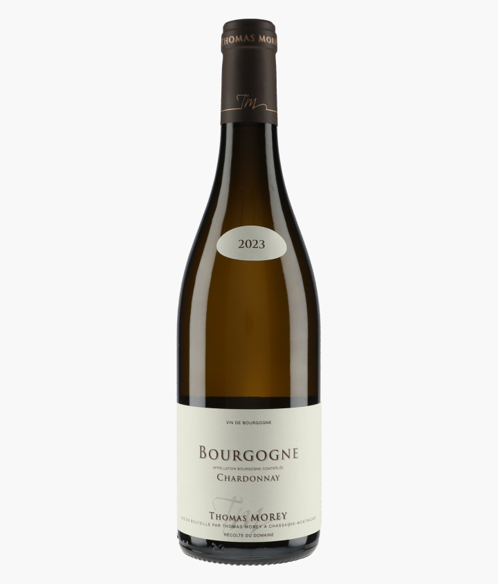 MOREY THOMAS | Bourgogne Chardonnay 2023