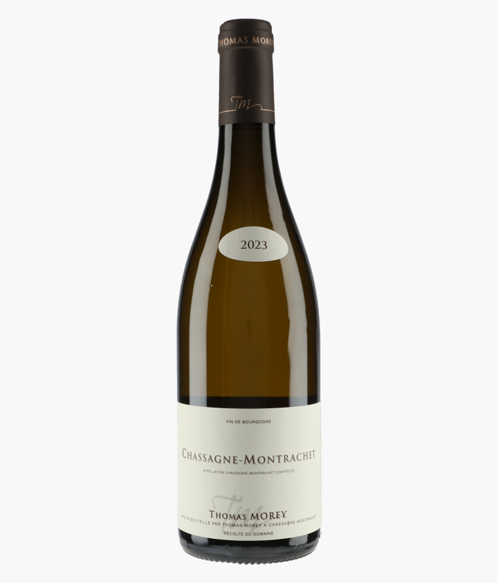 MOREY THOMAS | Chassagne-Montrachet 2023