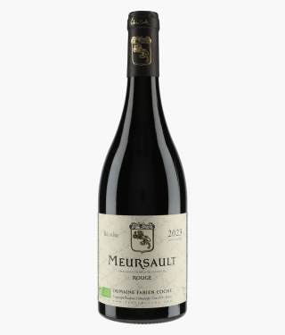 COCHE FABIEN | Meursault 2023
