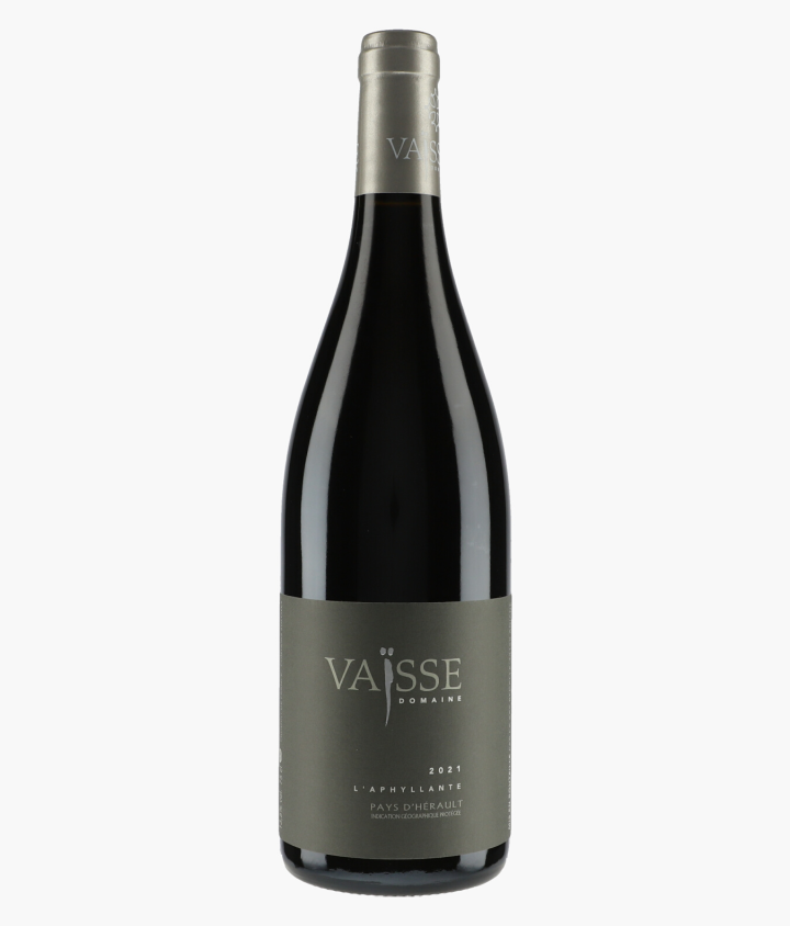 VAÏSSE PIERRE | IGP de l'Hérault L'Aphyllante 2021