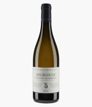 BOCCON THOMAS | Bourgogne Côte d'Or Chardonnay 2023