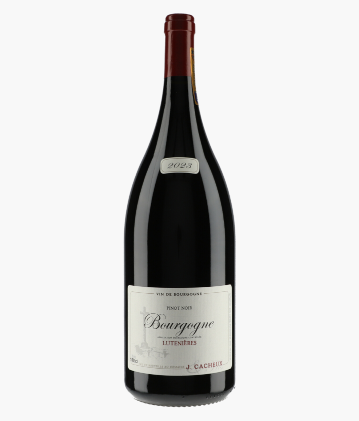 CACHEUX JACQUES | Bourgogne Pinot Noir Lutenières 2023