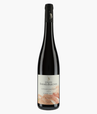 Pinot Noir Côteaux Calcaire
