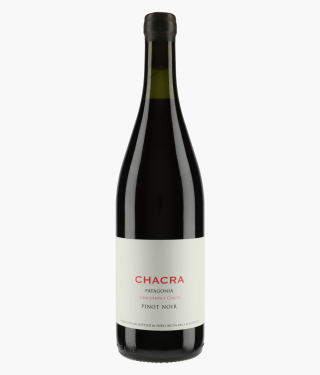 BODEGA CHACRA | Pinot Noir Cincuenta Y Cinco 2024