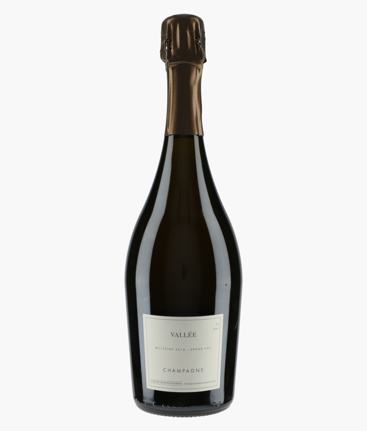 MONTS FOURNOIS | Champagne Ay Grand Cru Vallée 2014