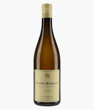 MORET DAVID | Saint-Romain 2024