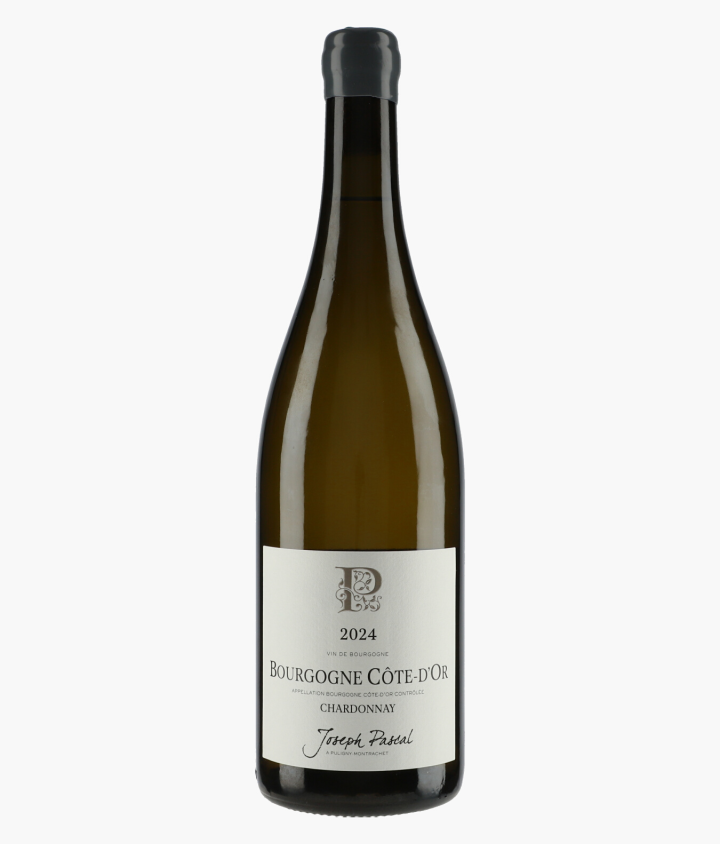 PASCAL JOSEPH | Bourgogne Côte d'Or Chardonnay 2024