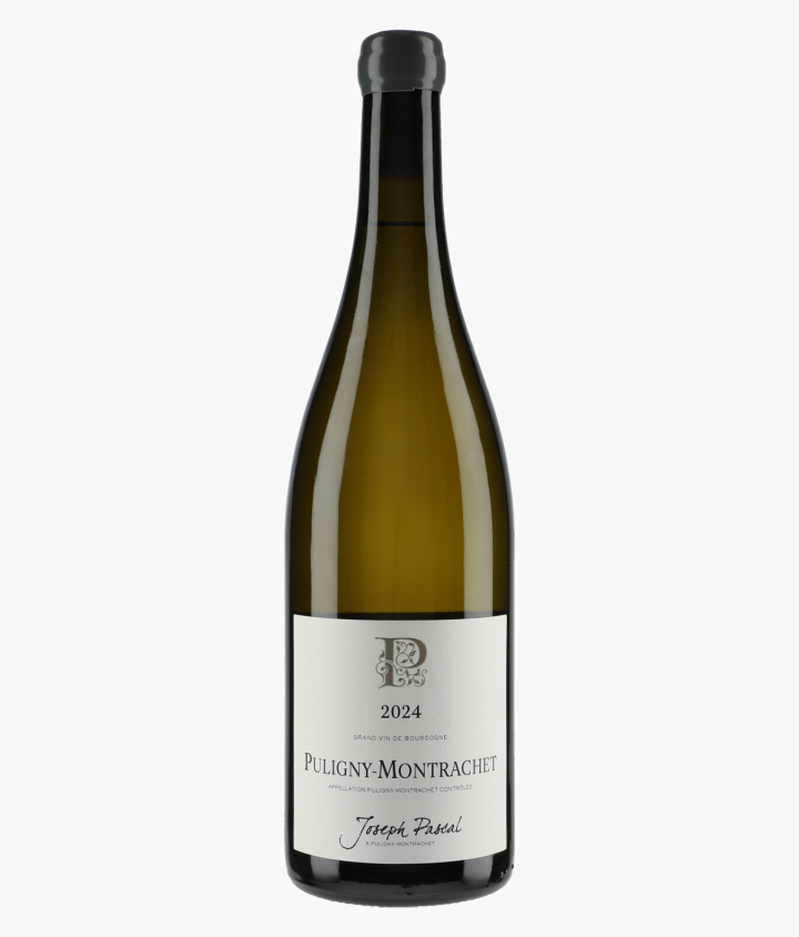 PASCAL JOSEPH | Puligny-Montrachet 2024