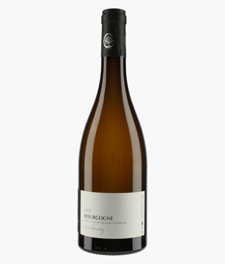 BEAUNE ALINE | Bourgogne Chardonnay 2023