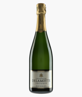 DELAMOTTE | Champagne Blanc de Blancs N.V.
