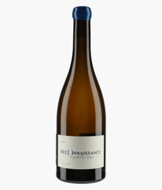 BEAUNE ALINE | Montagny Reconnaissance 2023