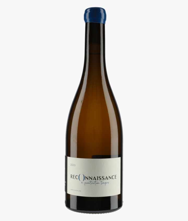 BEAUNE ALINE | Montagny Reconnaissance 2023